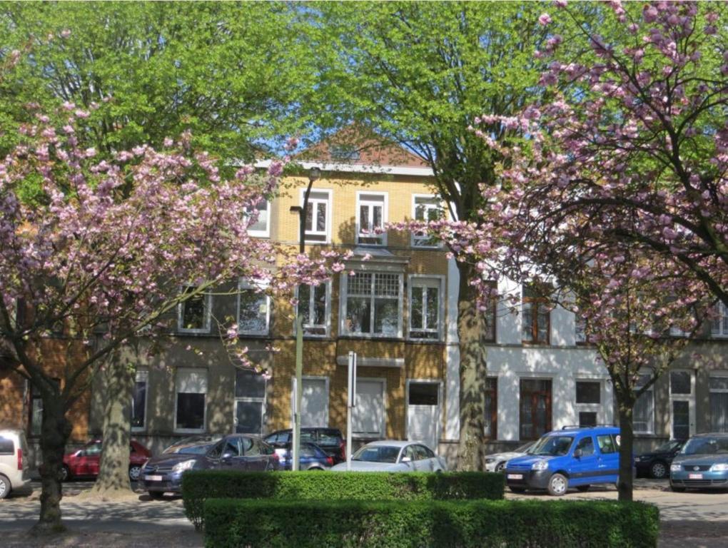 Nid Cosy Appartement Doornik Buitenkant foto